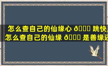怎么查自己的仙缘心 🐎 跳快,怎么查自己的仙缘 🐕 是善缘还是恶缘